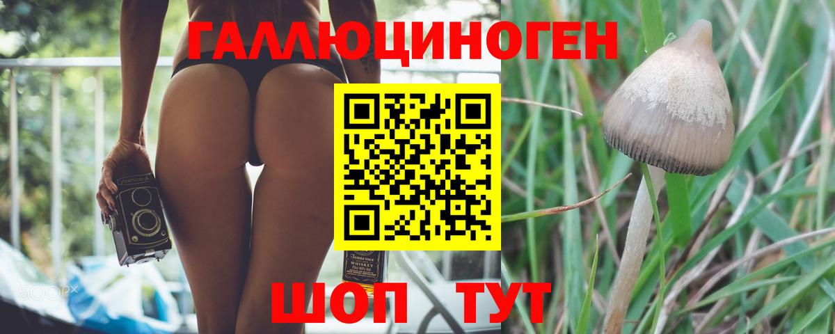 Бутурлиновка  Галлюциногенные грибы Cubensis  Галлюциногенные грибы Psilocybine cubensis  Вход с VPN 